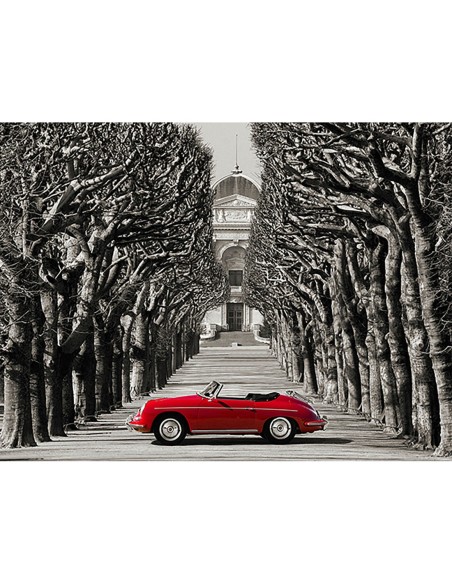 Roadster en una carretera arbolada, París