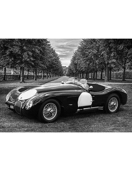 Un roadster clásico en un parque