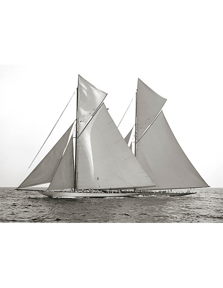 Columbia y Shamrock, 1901