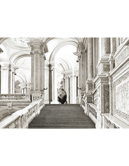 Lujosa naturaleza salvaje III