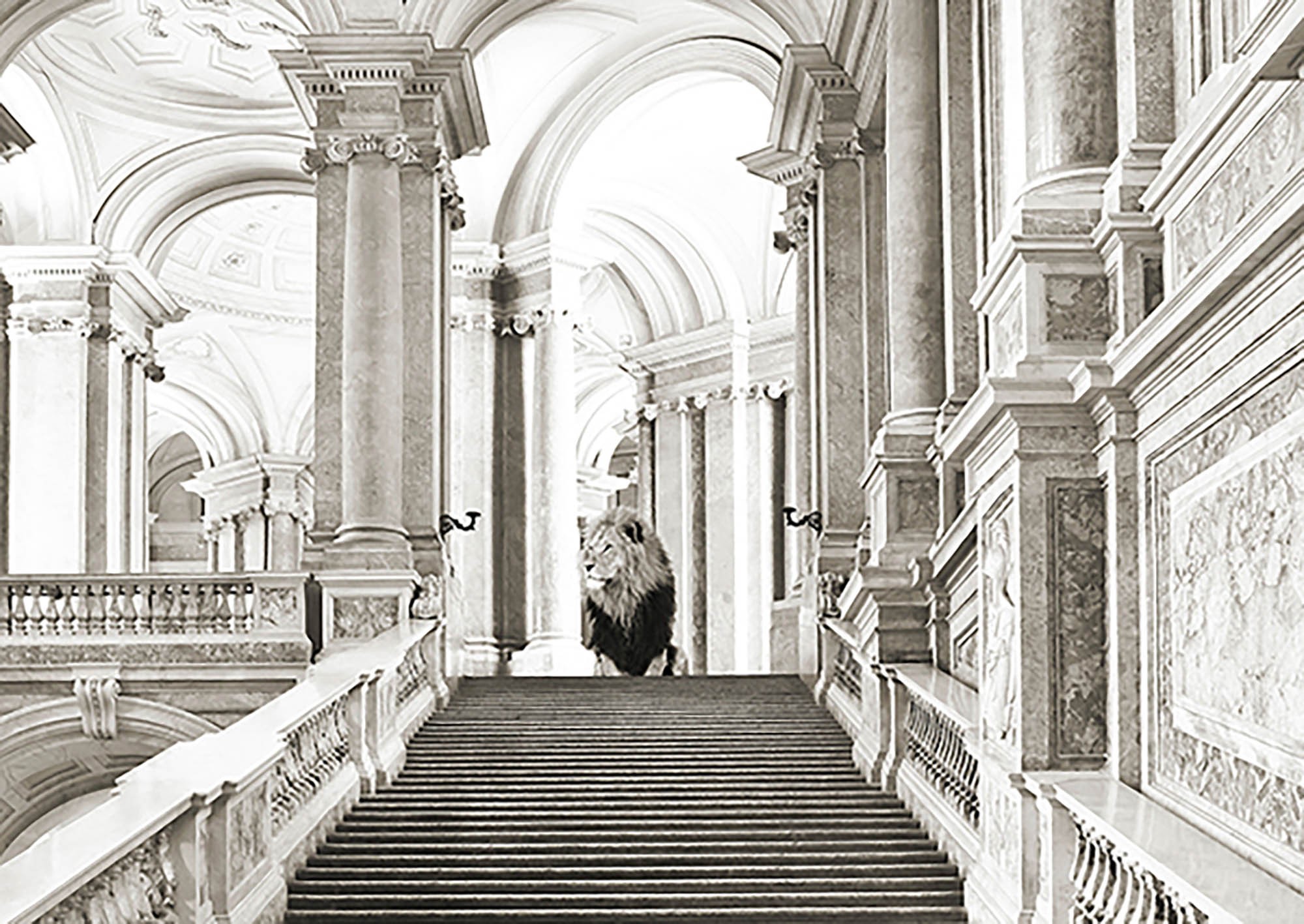 Lujosa naturaleza salvaje III