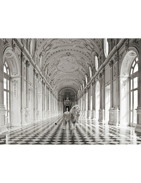 Lujosa naturaleza salvaje IV