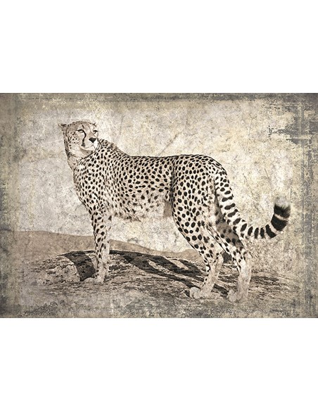 Memorias de África II