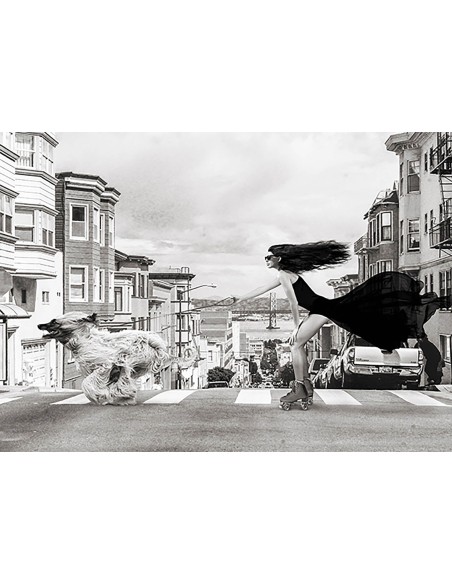 Patinaje en San Francisco