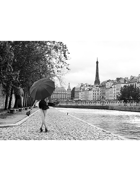 Muelle del Sena (BW)