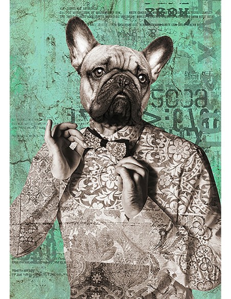 Dandy Boy (blanco y negro)