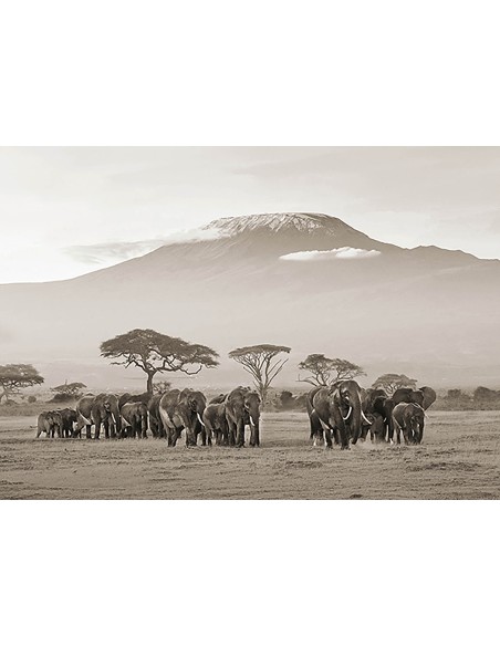 Kenia, Parque Nacional Amboseli