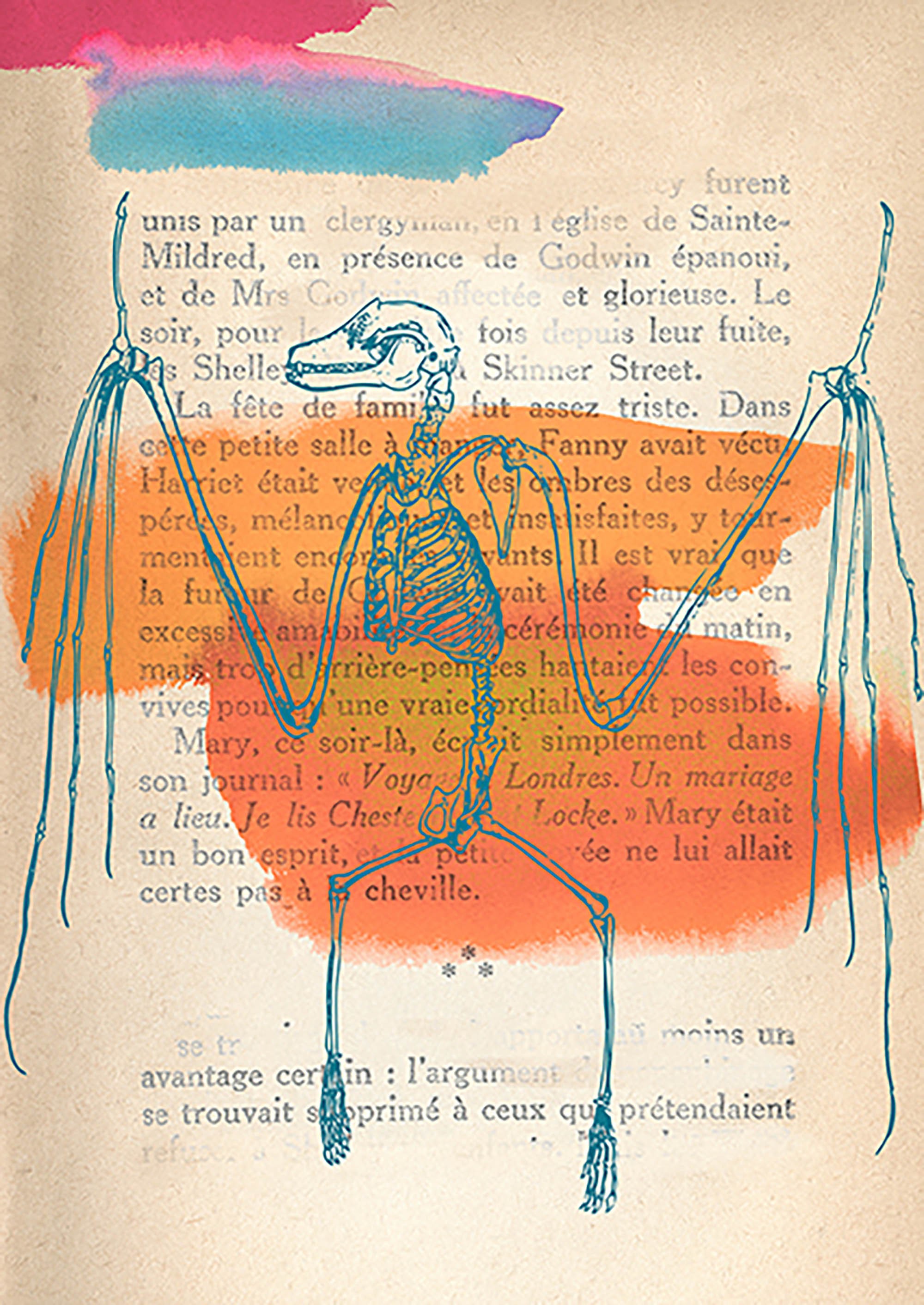 Recuerdos de lo salvaje II