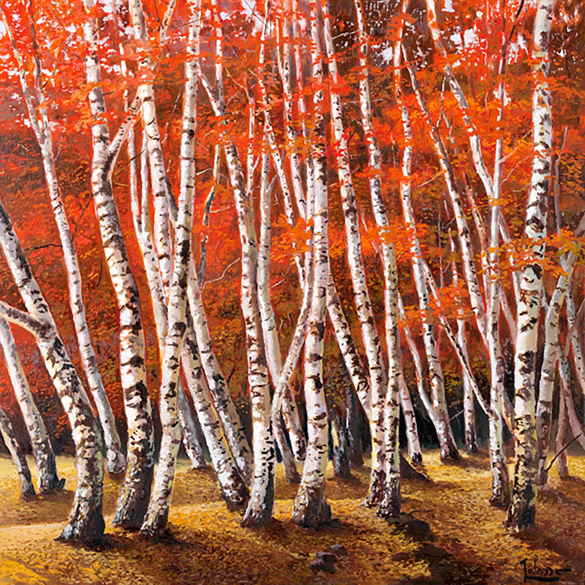 Bosque de abedules I