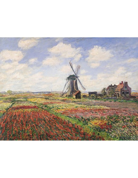 Campos de tulipanes con molino de viento