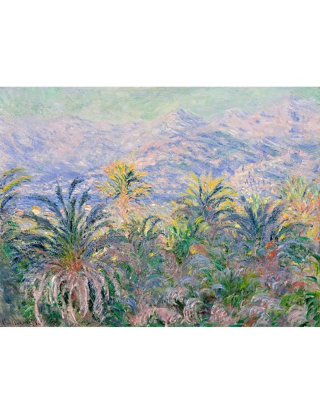 Palmeras en Bordighera