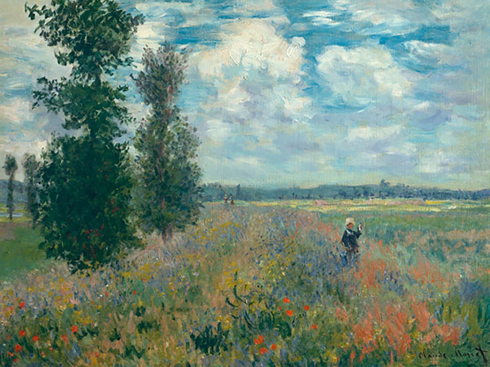 Campos de amapolas cerca de Argenteuil