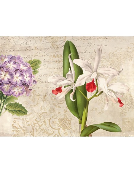 Botánica moderna III