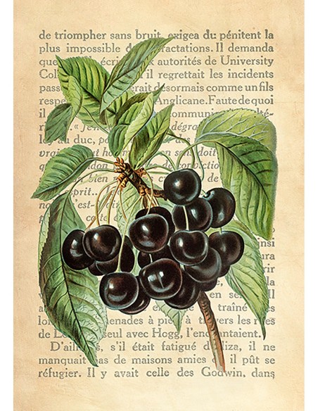 Le Petit Coquin, postre exquisito, Según J. Wright