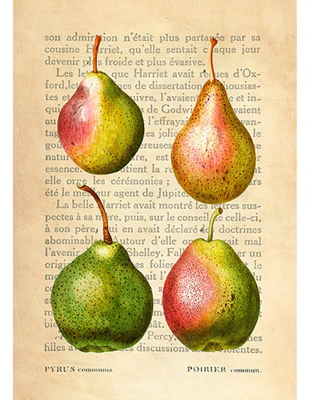 Le Petit Coquin, postre exquisito, Después de Redouté