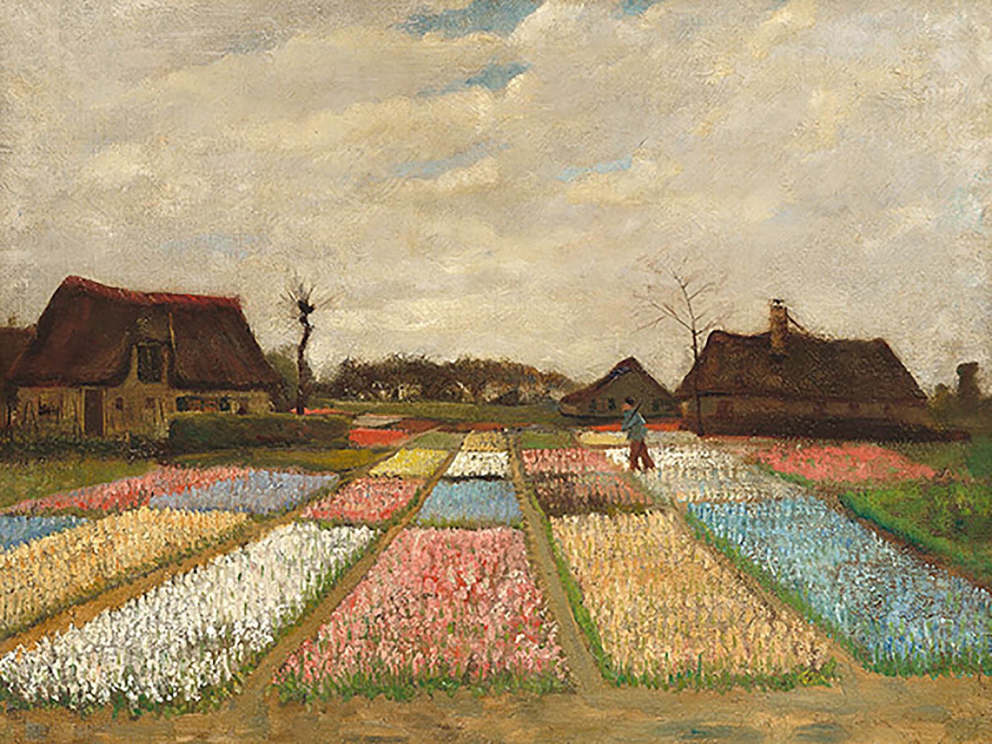 Macizos de flores en Holanda