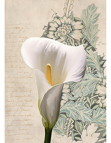 Calla I