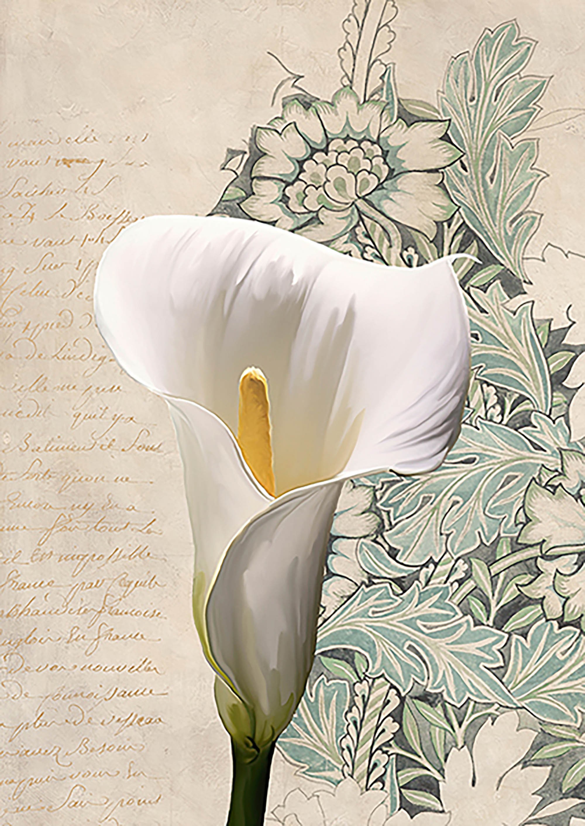 Calla I