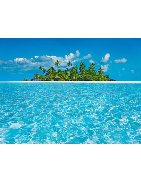 Laguna tropical con isla de palmeras, Maldivas