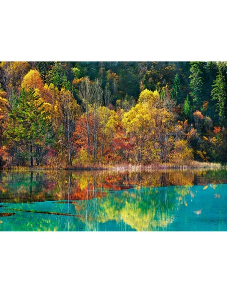 Bosque con colores otoñales, Sichuan, China