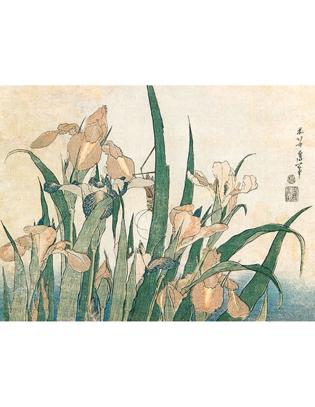 Lirios y saltamontes, 1833-1834