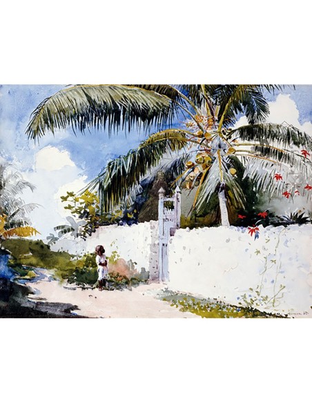 Un jardín en Nassau