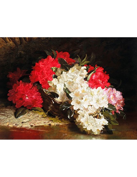 Azaleas