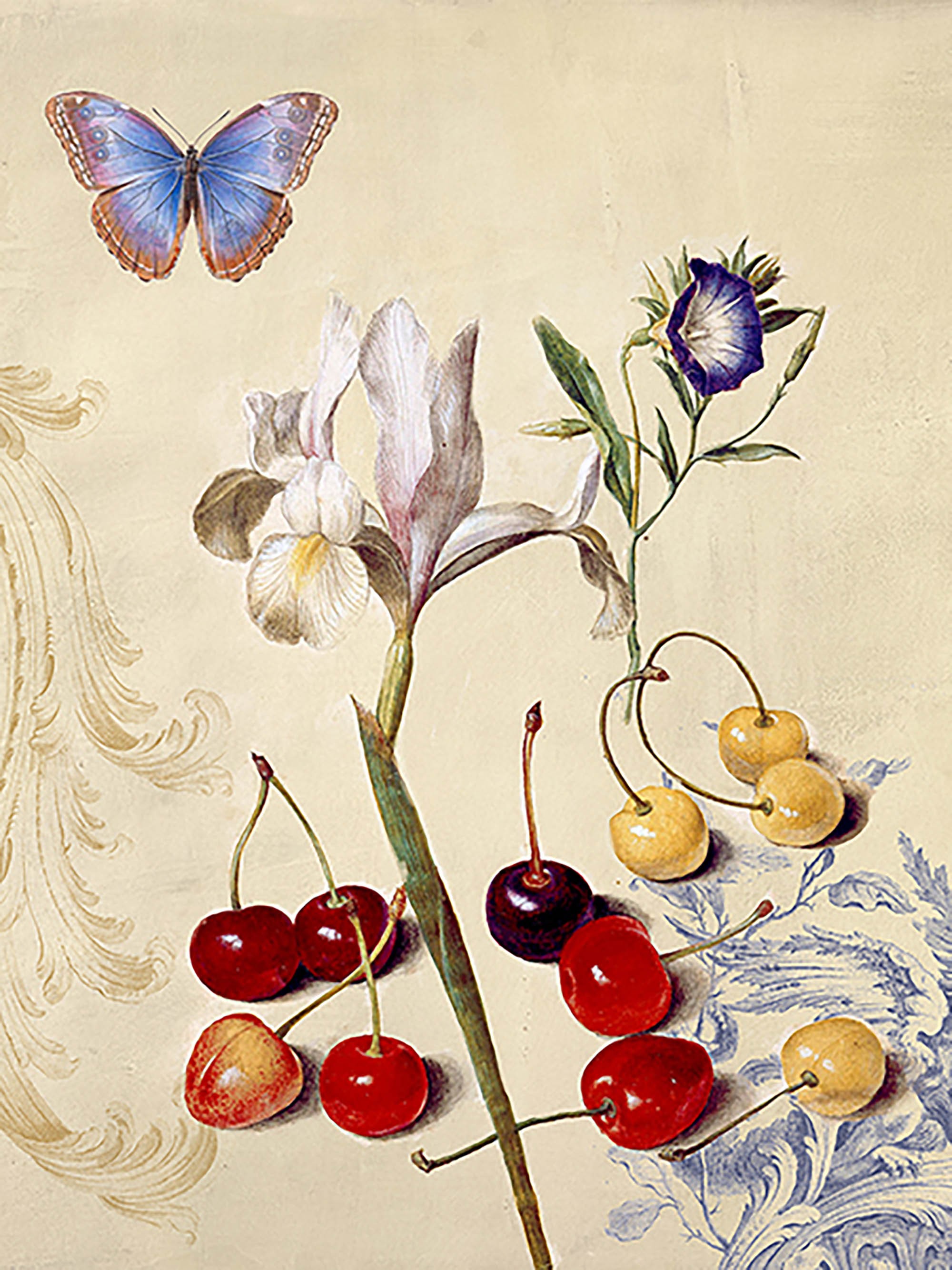 Gabinete de Curiosidades No. 1