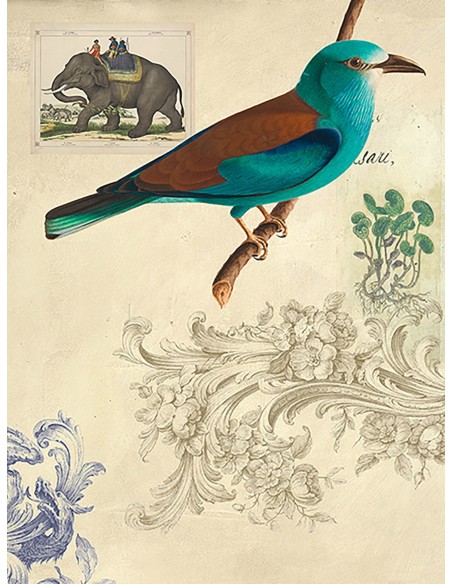 Gabinete de Curiosidades No. 2