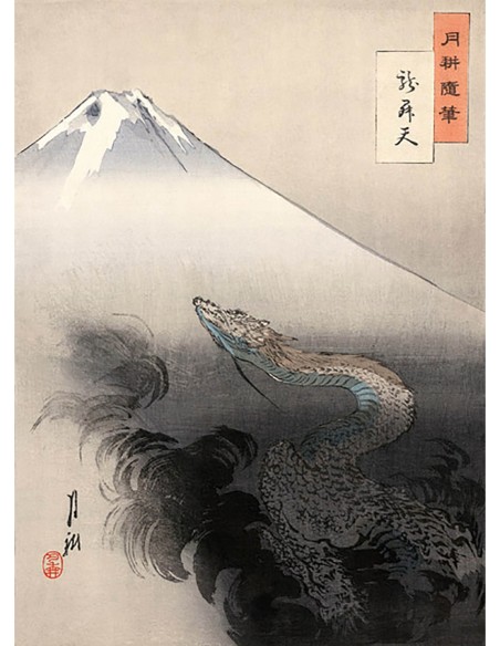 Dragón ascendiendo al cielo