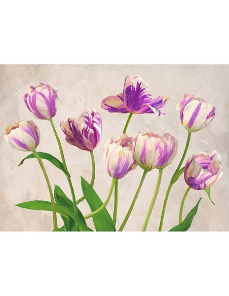 Tulipanes