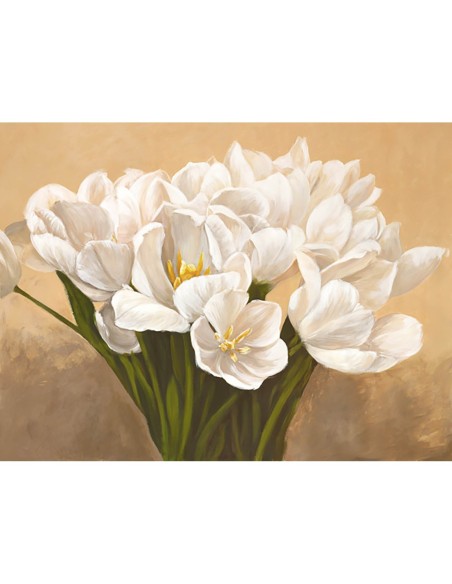 Tulipanes blancos
