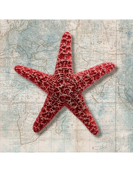 Estrella de mar