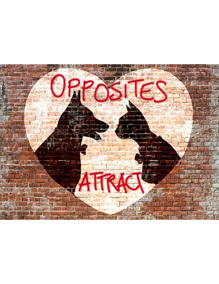 Los opuestos se atraen