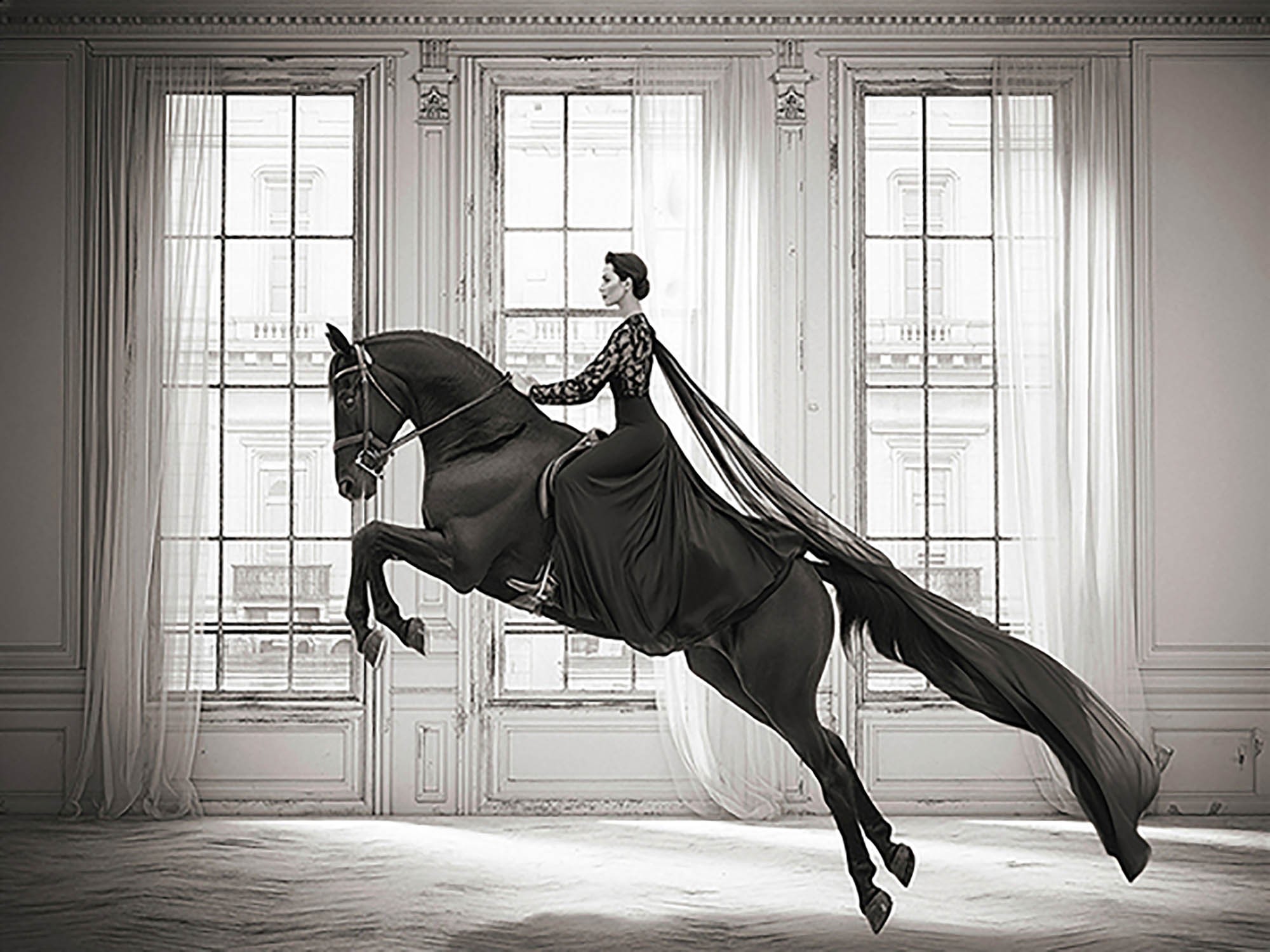 Dressage