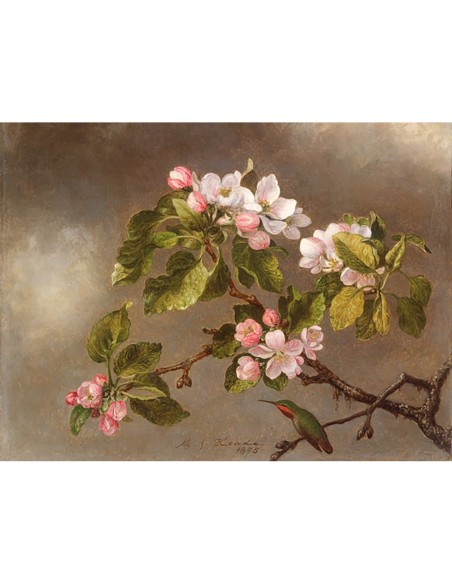 Colibrí y flores de manzano