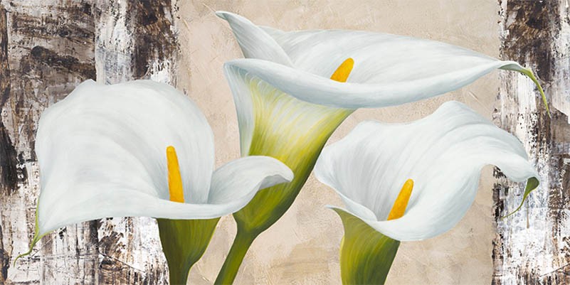 Naturaleza verdadera