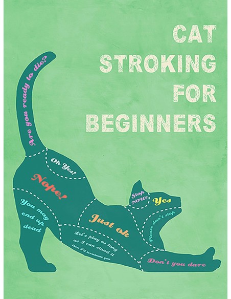 Acariciar gatos para principiantes (color)