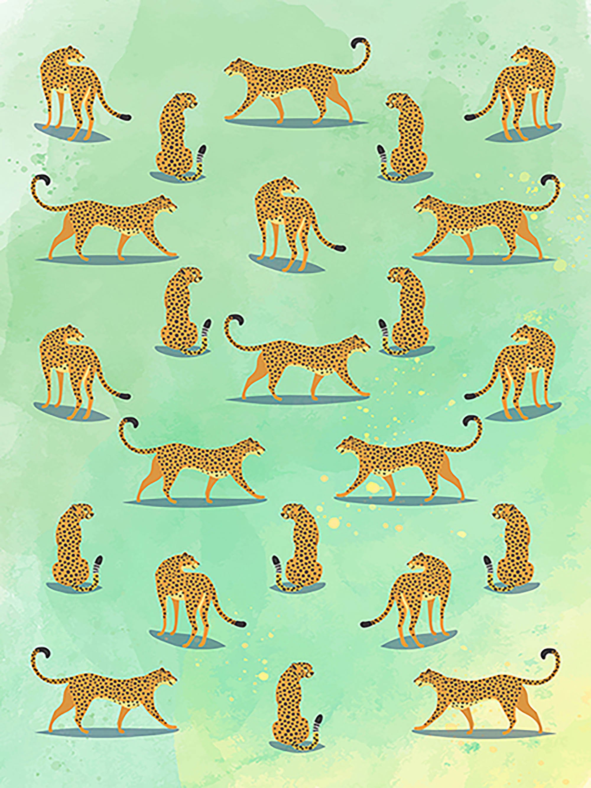 Patrón de vida silvestre I