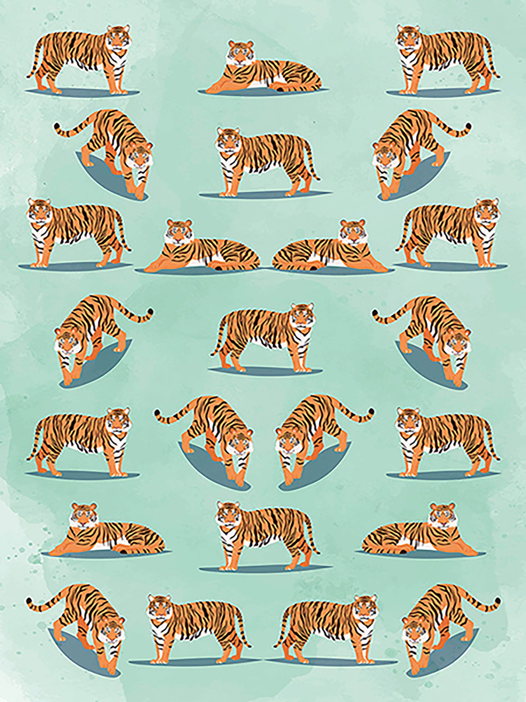 Patrón de vida silvestre II