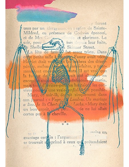 Recuerdos de lo salvaje II