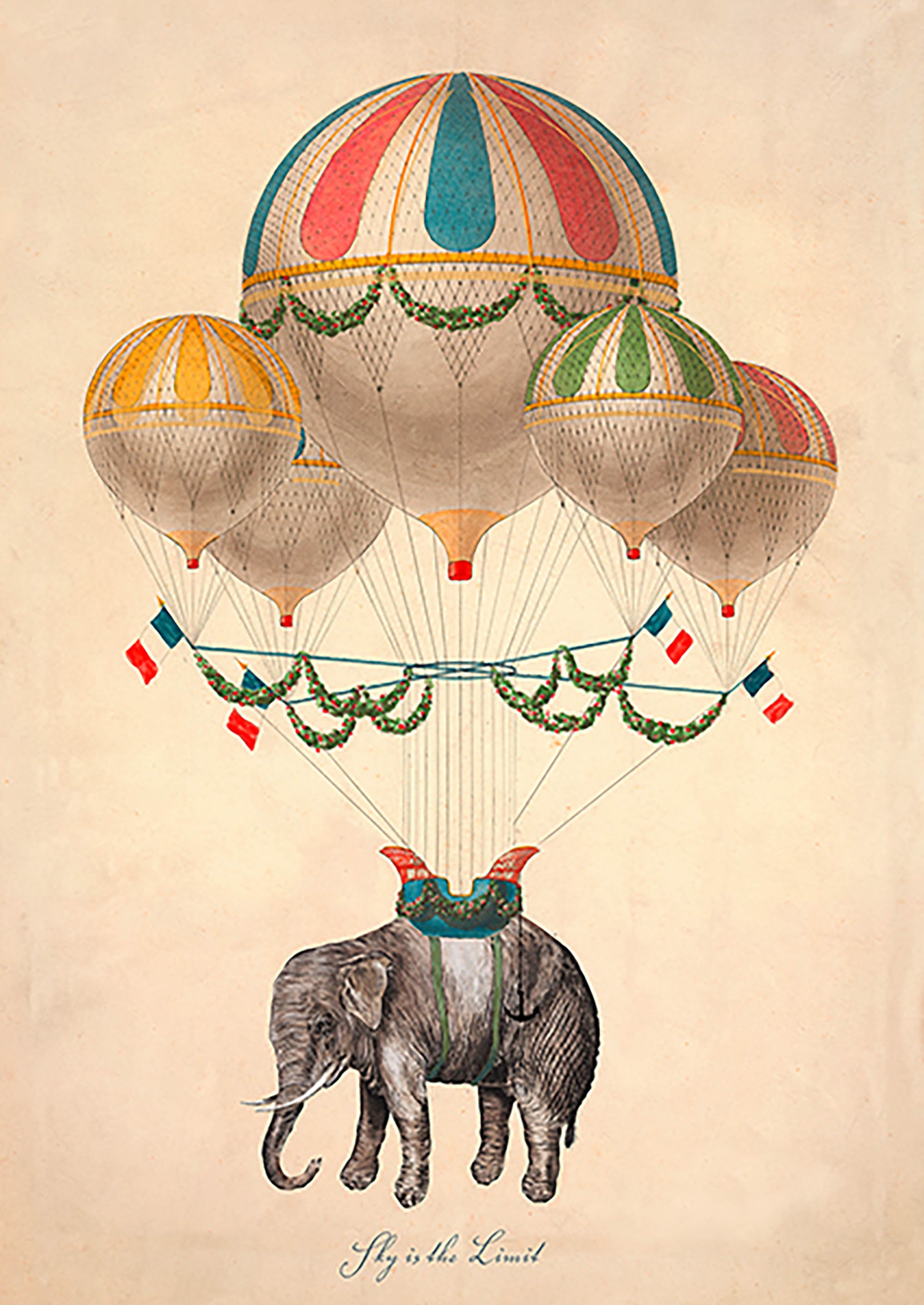 El cielo es el límite