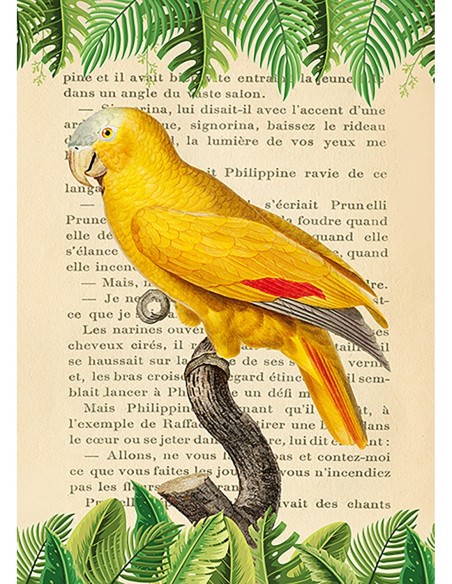 El loro de frente azul, según Levaillant