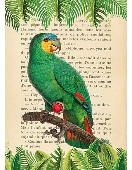 La amazona de alas anaranjadas, según Levaillant