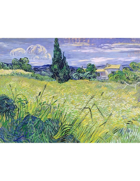 Paisaje con maíz verde