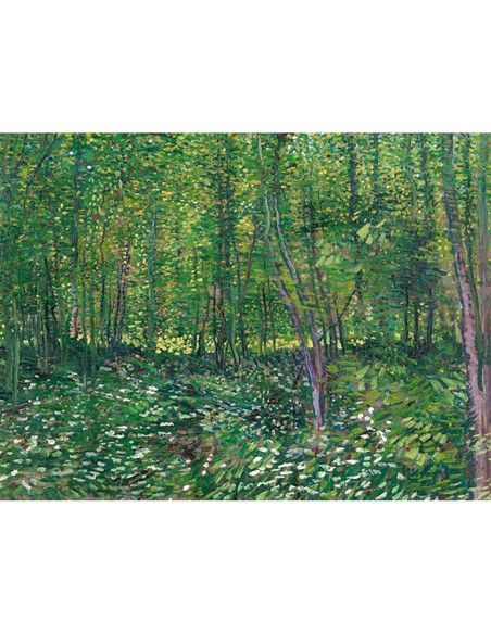 Árboles y sotobosque