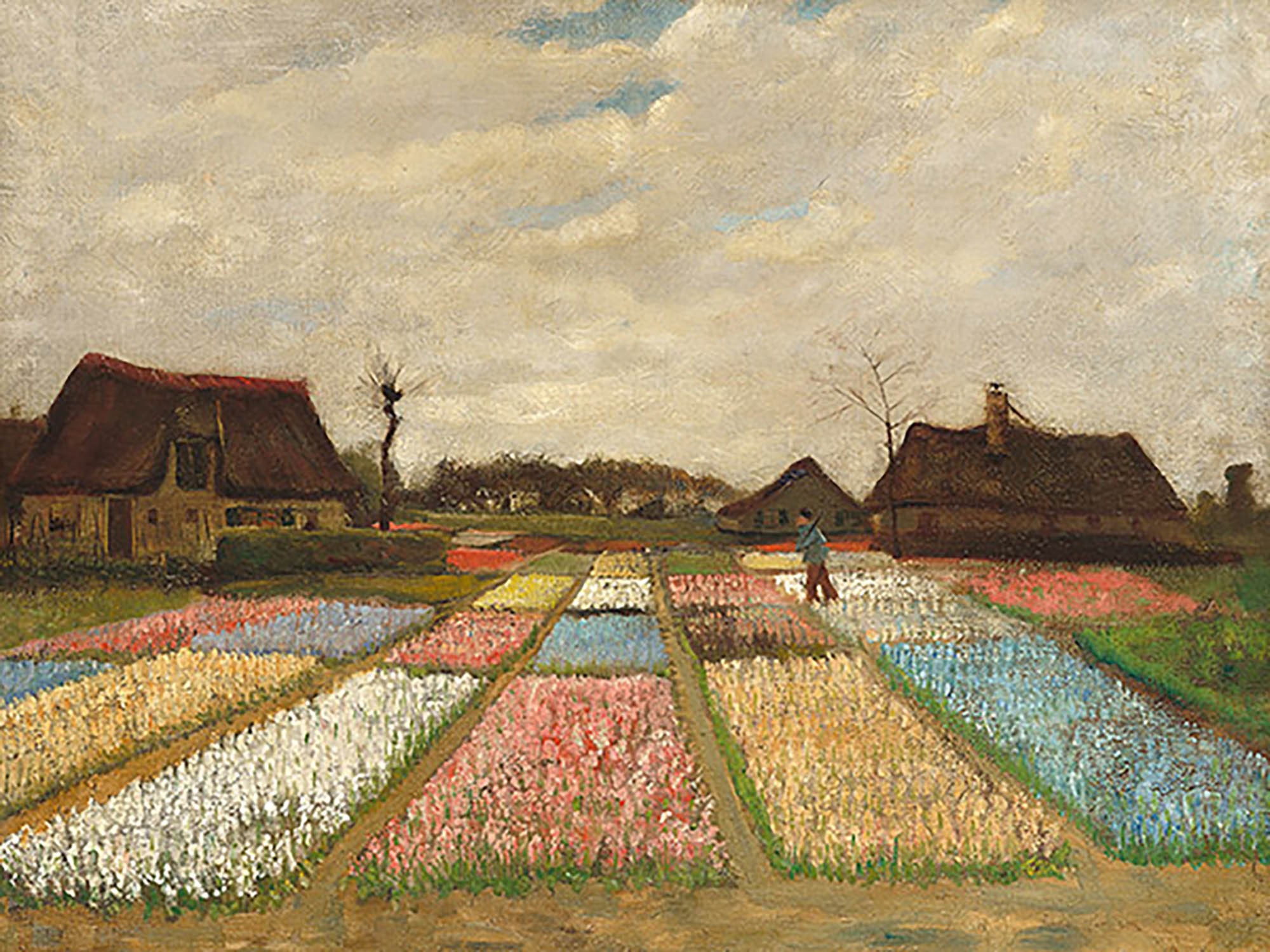 Macizos de flores en Holanda