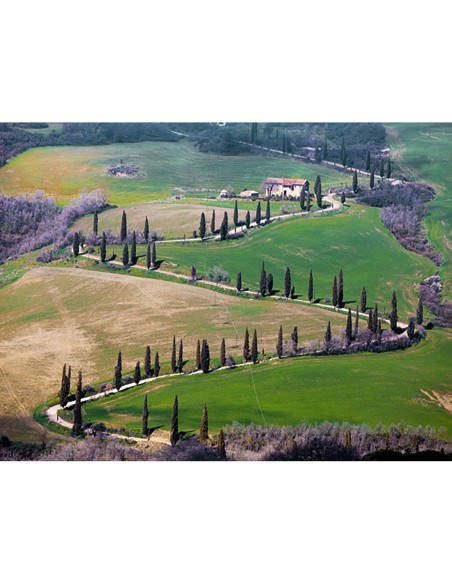 Carretera cerca de Montepulciano, Toscana, Italia
