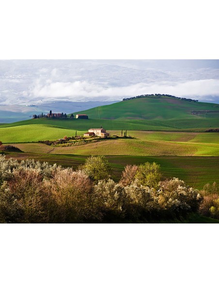 Campiña toscana