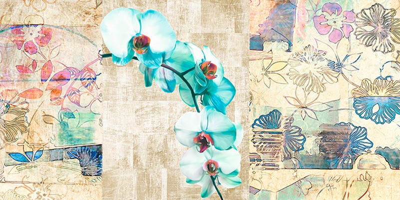 Orquídea caleidoscopio II